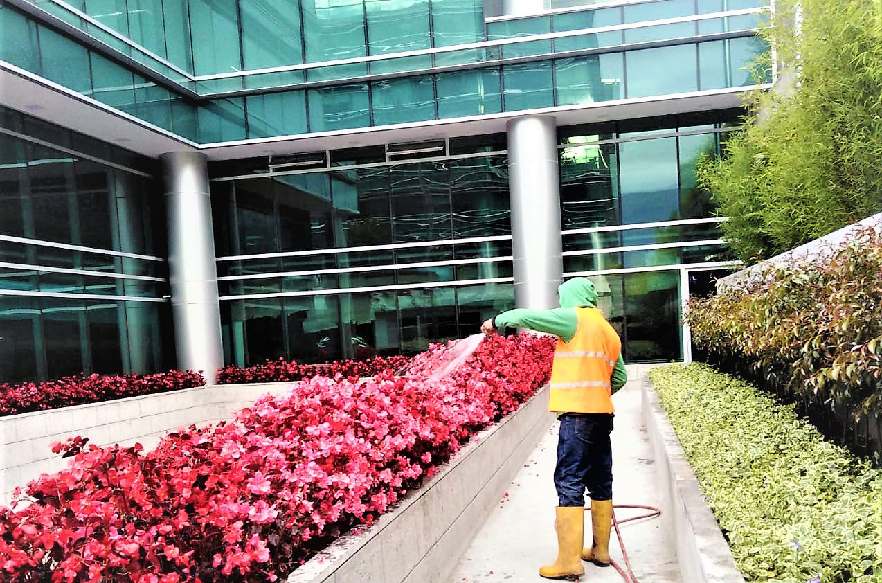 FUMIGACIÓN CONTRA INSECTOS