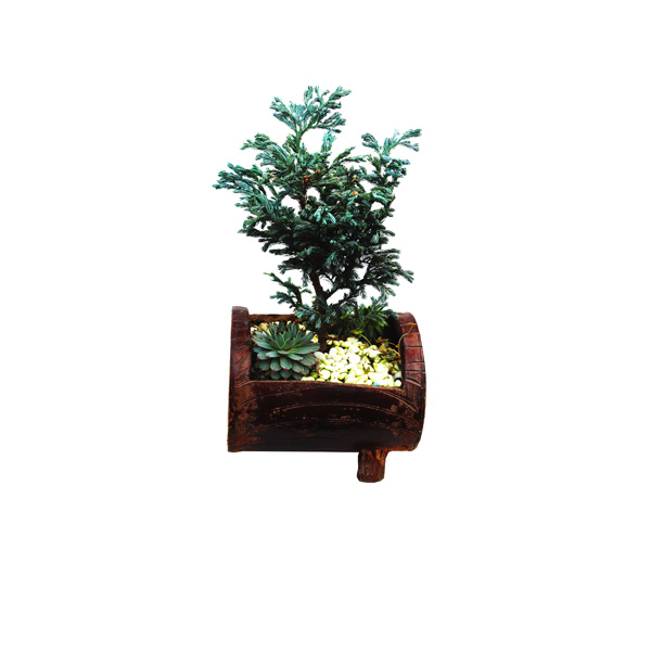 BONSAI XIII