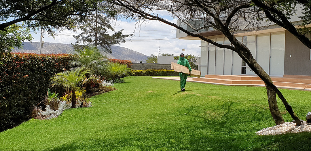 CONSTRUCCIÓN DE JARDINES