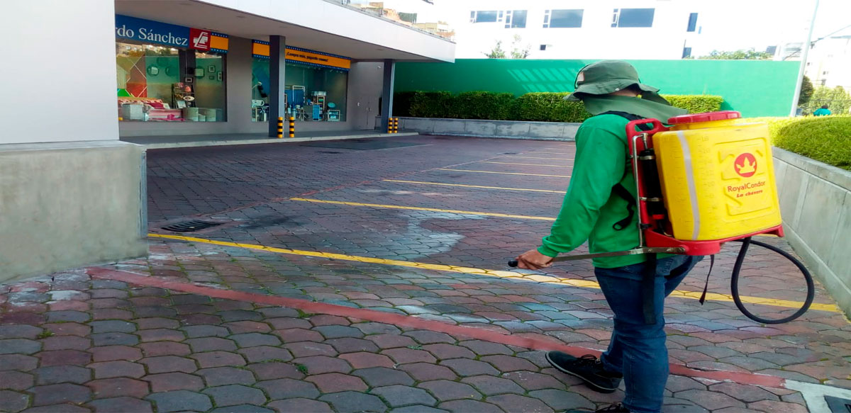 FUMIGACIÓN DE HONGOS 