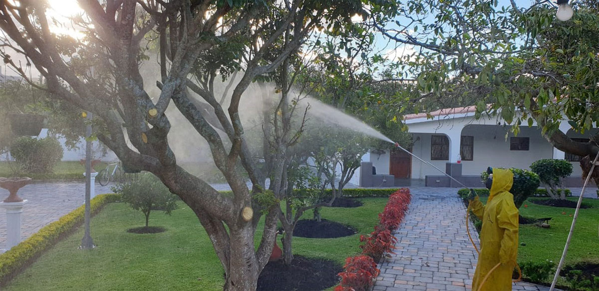 FUMIGACIÓN DE INSECTOS