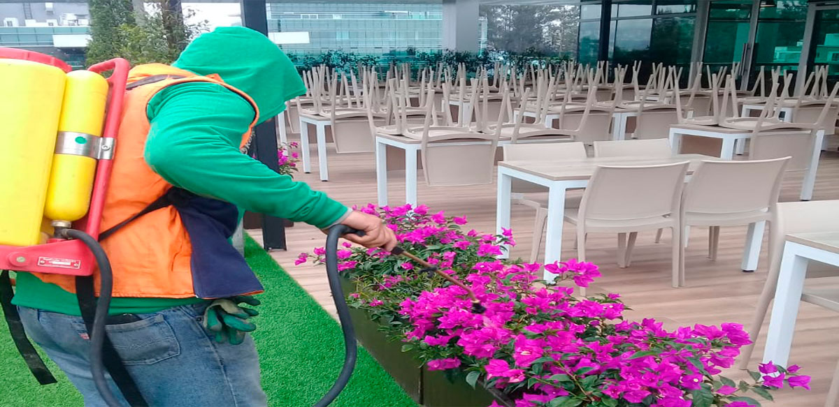 FUMIGACIÓN DE INSECTOS