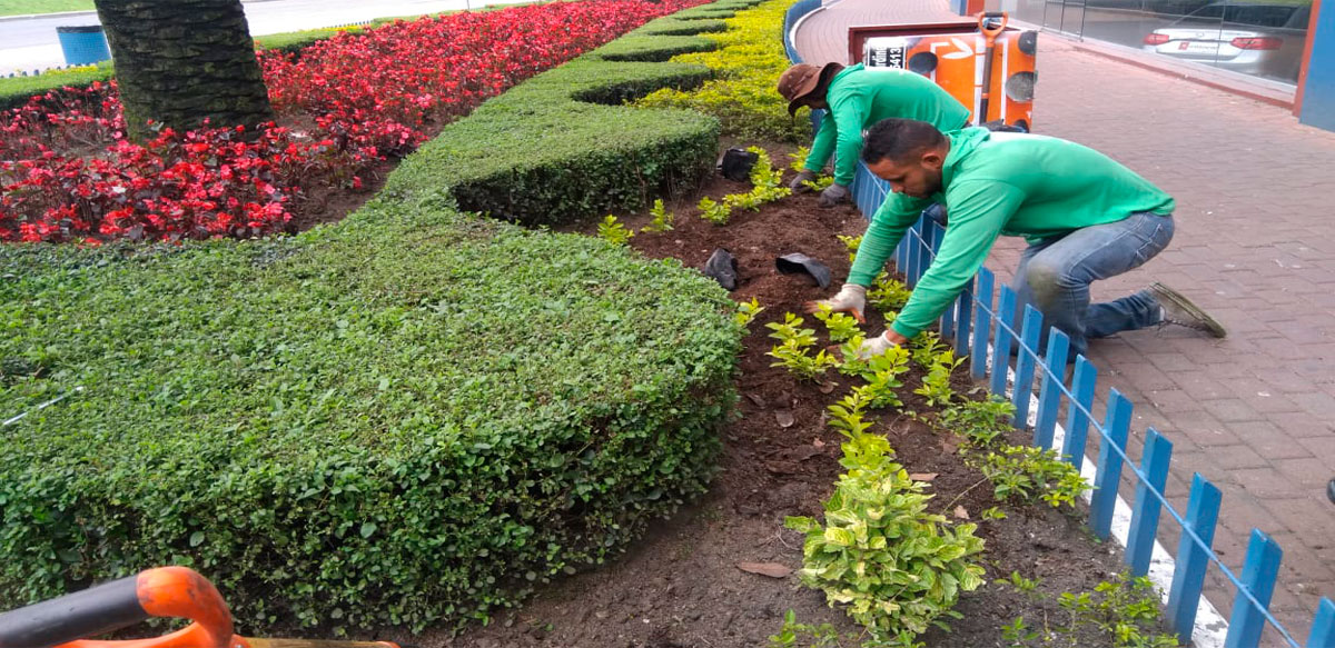 CONSTRUCCIÓN DE JARDINES