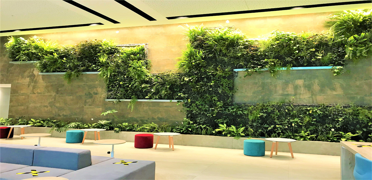 JARDINES DE INTERIOR