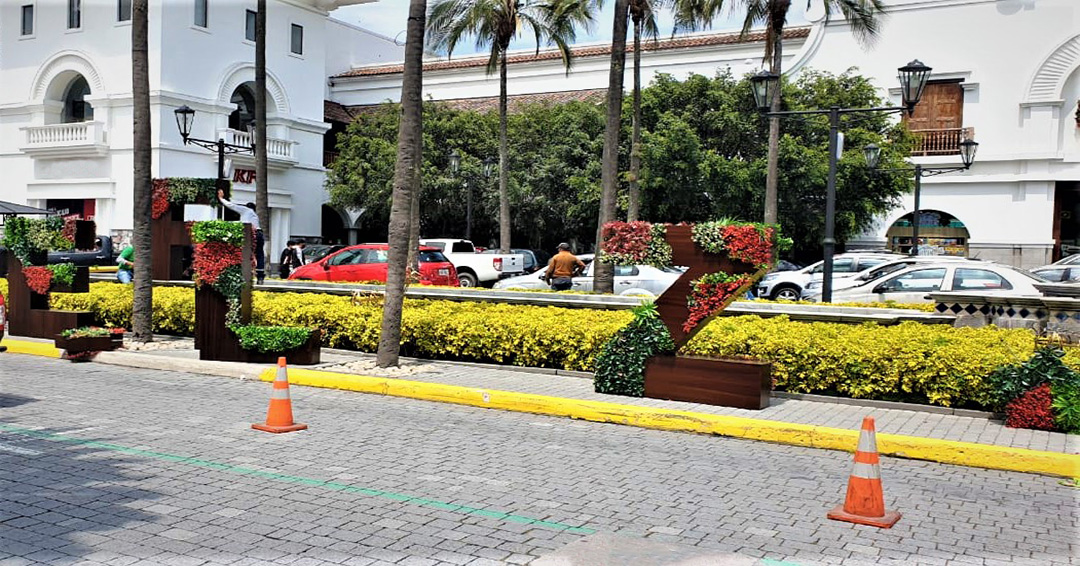 CONSTRUCCIÓN DE JARDINES VERTICALES