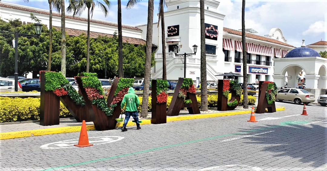 CONSTRUCCIÓN DE JARDINES VERTICALES