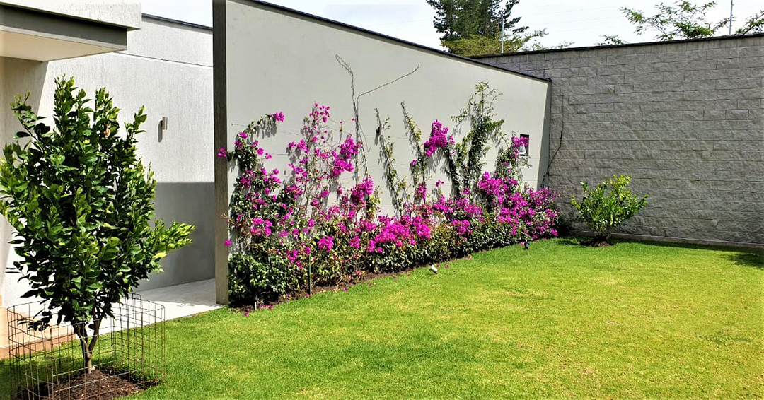 CONSTRUCCIÓN DE JARDINES DE EXTERIOR