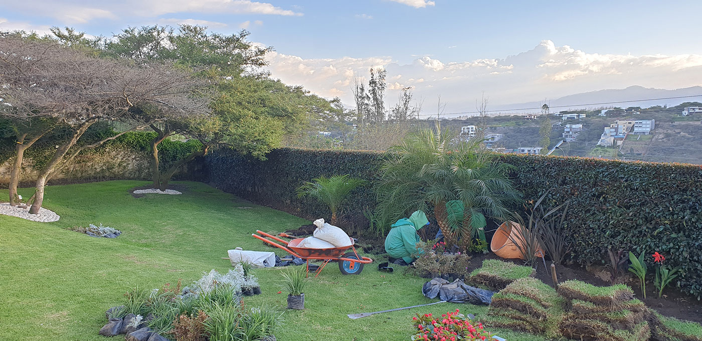 CONSTRUCCIÓN DE JARDINES