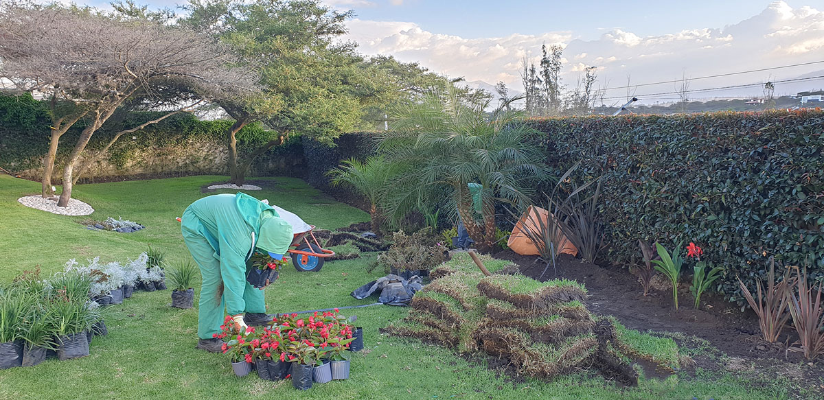 CONSTRUCCIÓN DE JARDINES