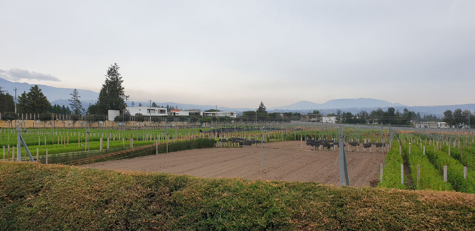 CONSTRUCCIÓN DE VIVEROS