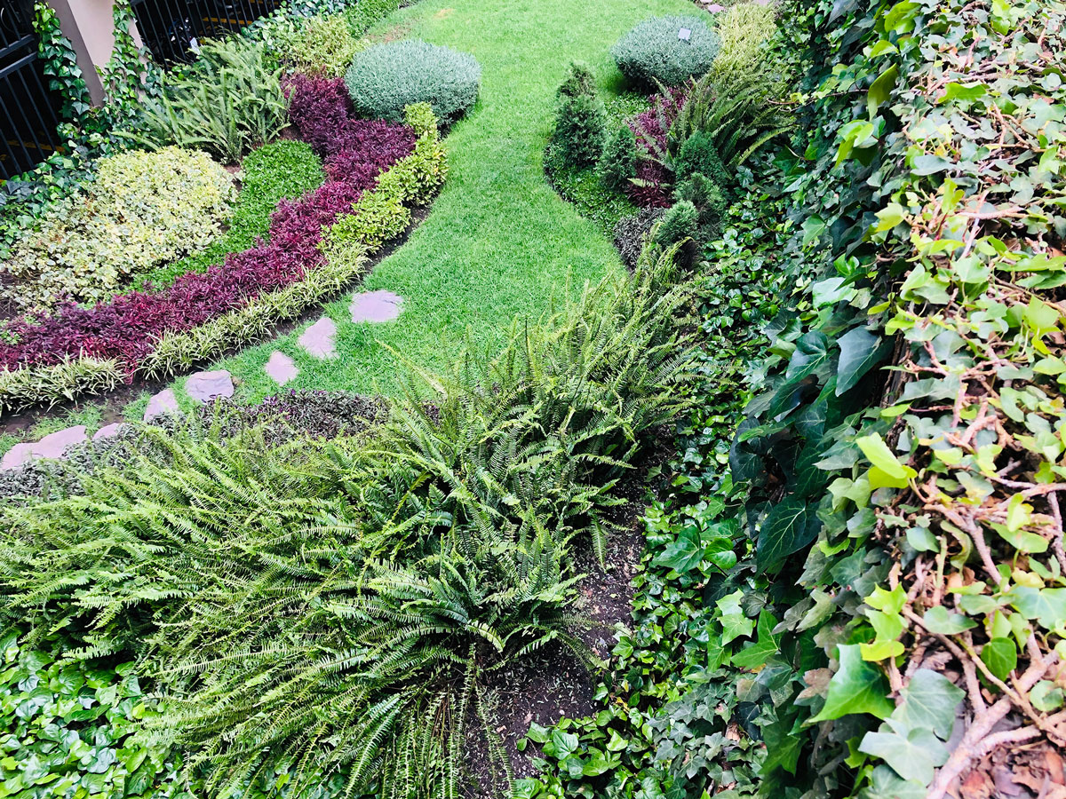 MANTENIMIENTO DE JARDINES