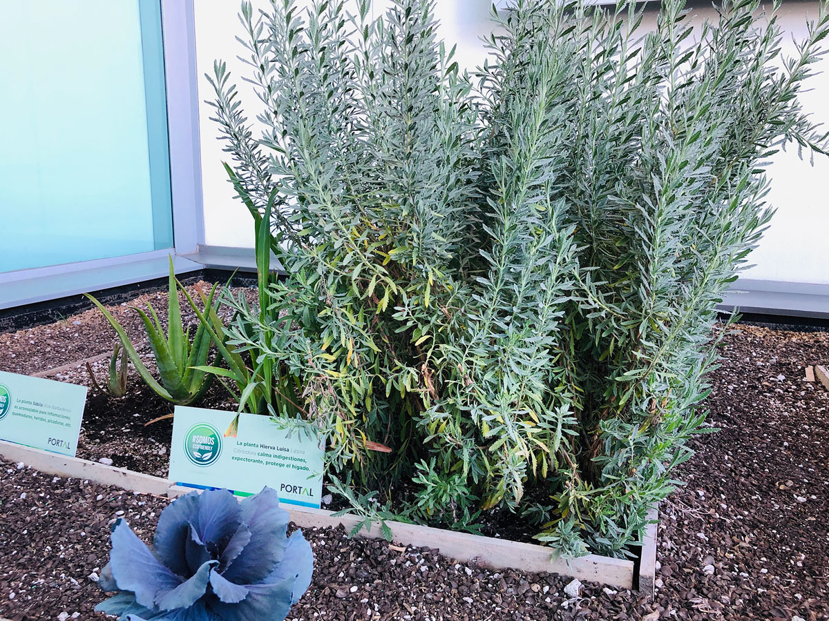 CONSTRUCCIÓN DE HUERTOS