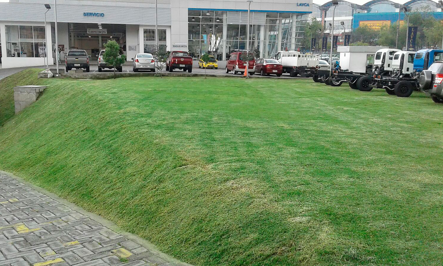 PODA DE CÉSPED 